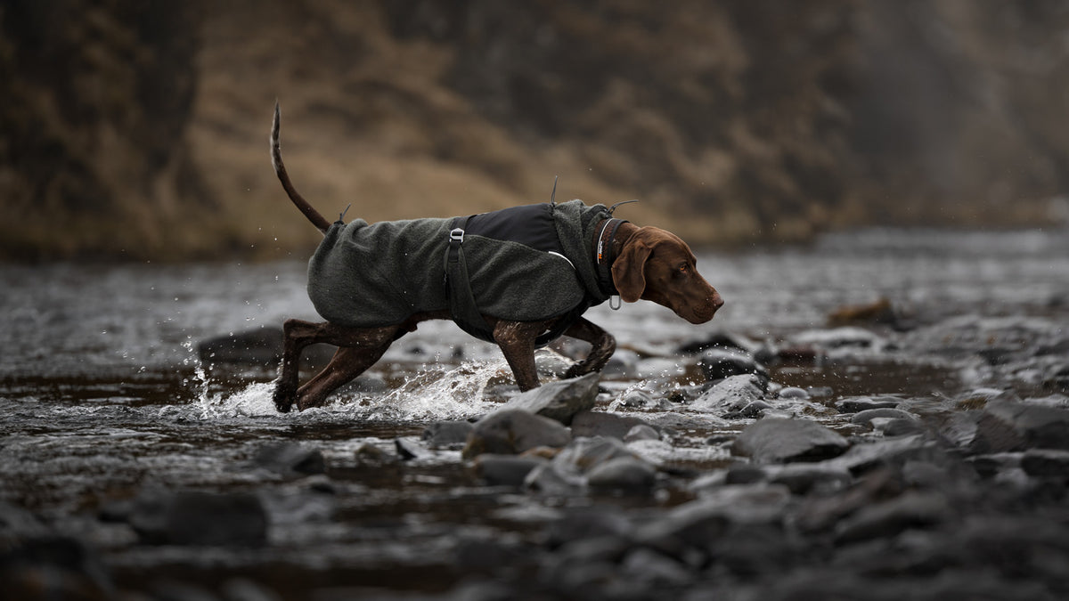 Wool dog jacket (11)