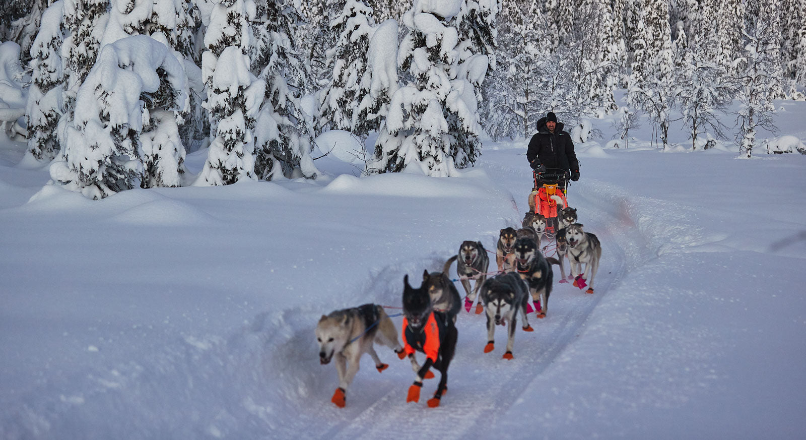 Warm winter jacket | Arctic jakka 3.0 – Non-stop dogwear