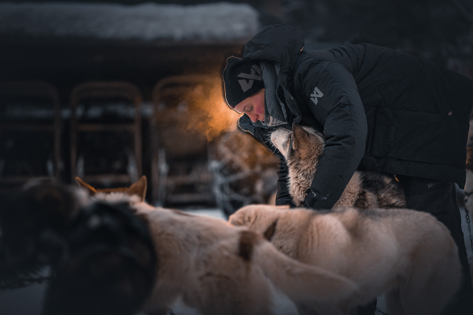 Warm winter jacket | Arctic jakka 3.0 – Non-stop dogwear