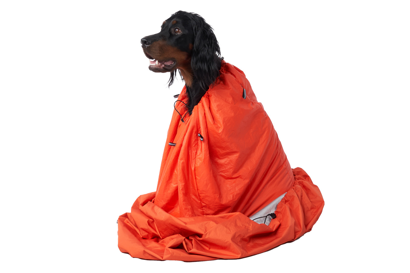 Ultraleichter Hundeschlafsack