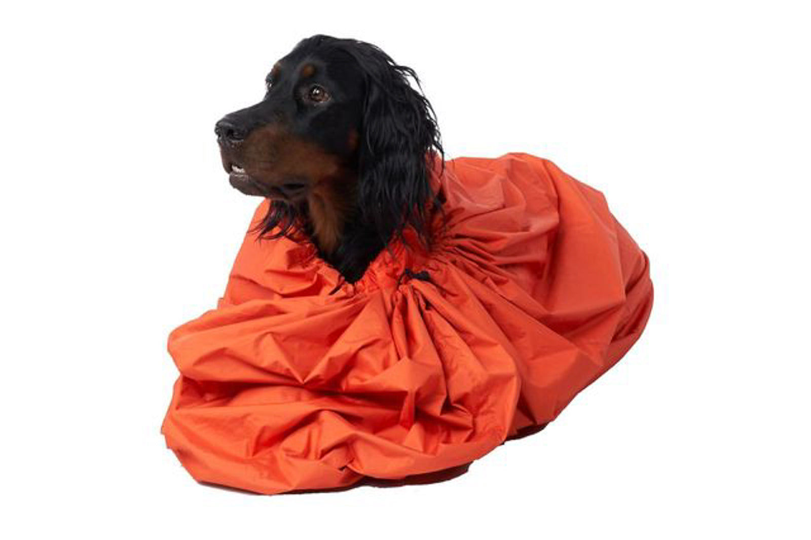 Nid pour chat et chien lit pour chiot grotte douce et chaude sac de Nid pour chat et chien lit pour chiot grotte douce et chaude sac de