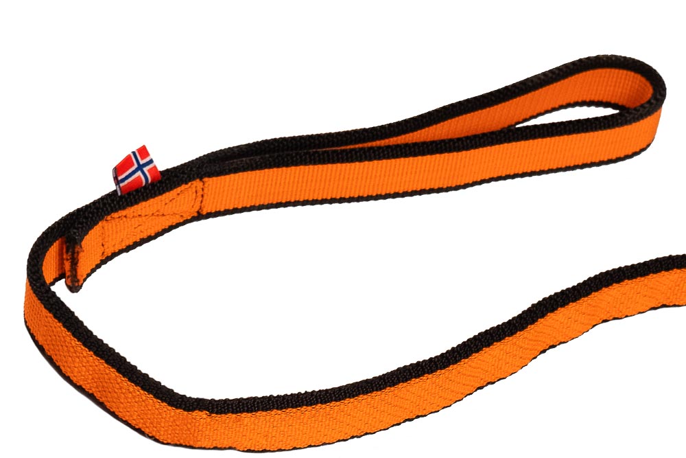 Bungee leash