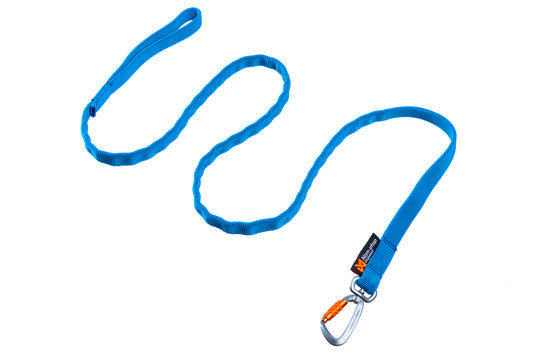 Bungee leash (1) & 1643 & 1644