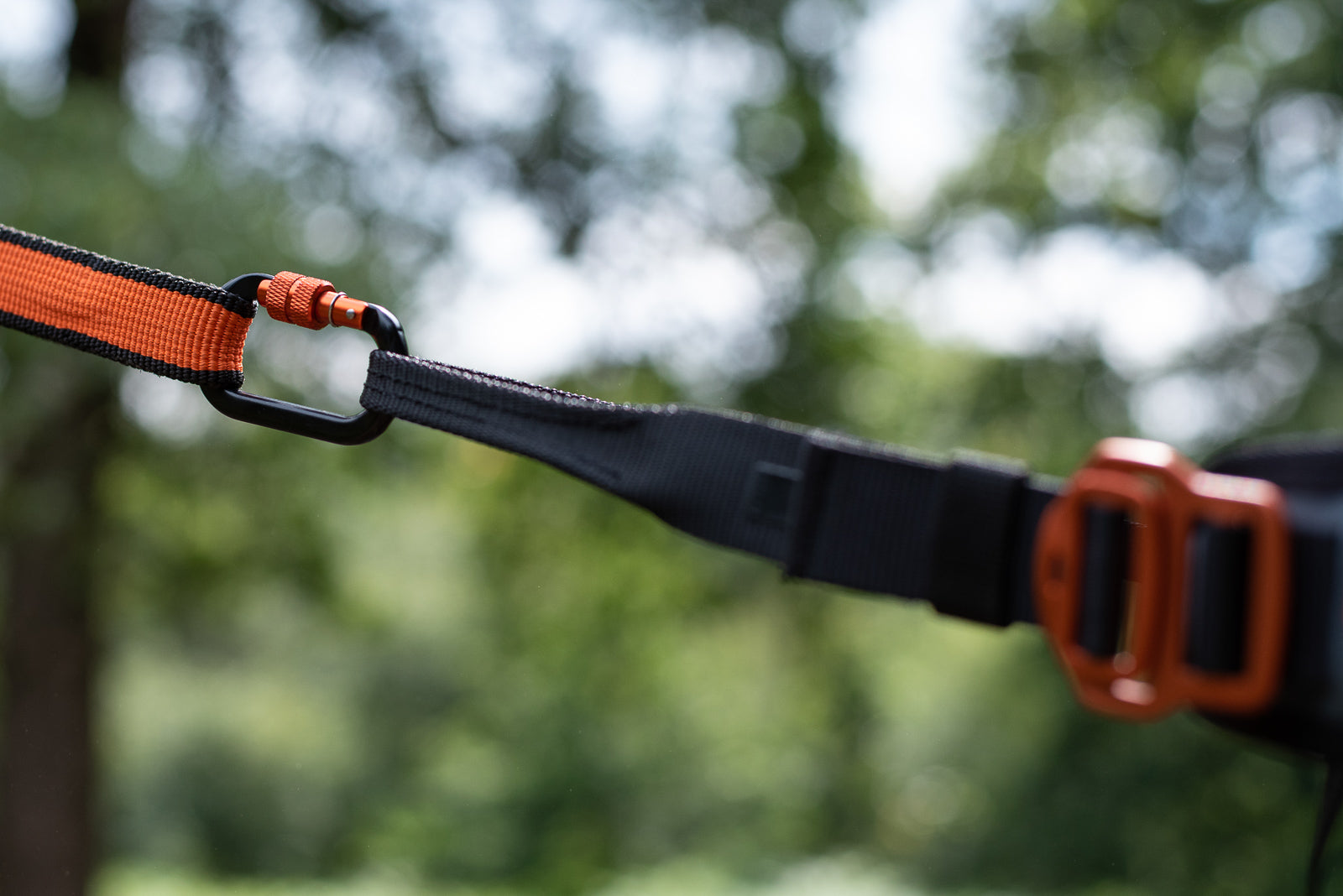 CaniX belt