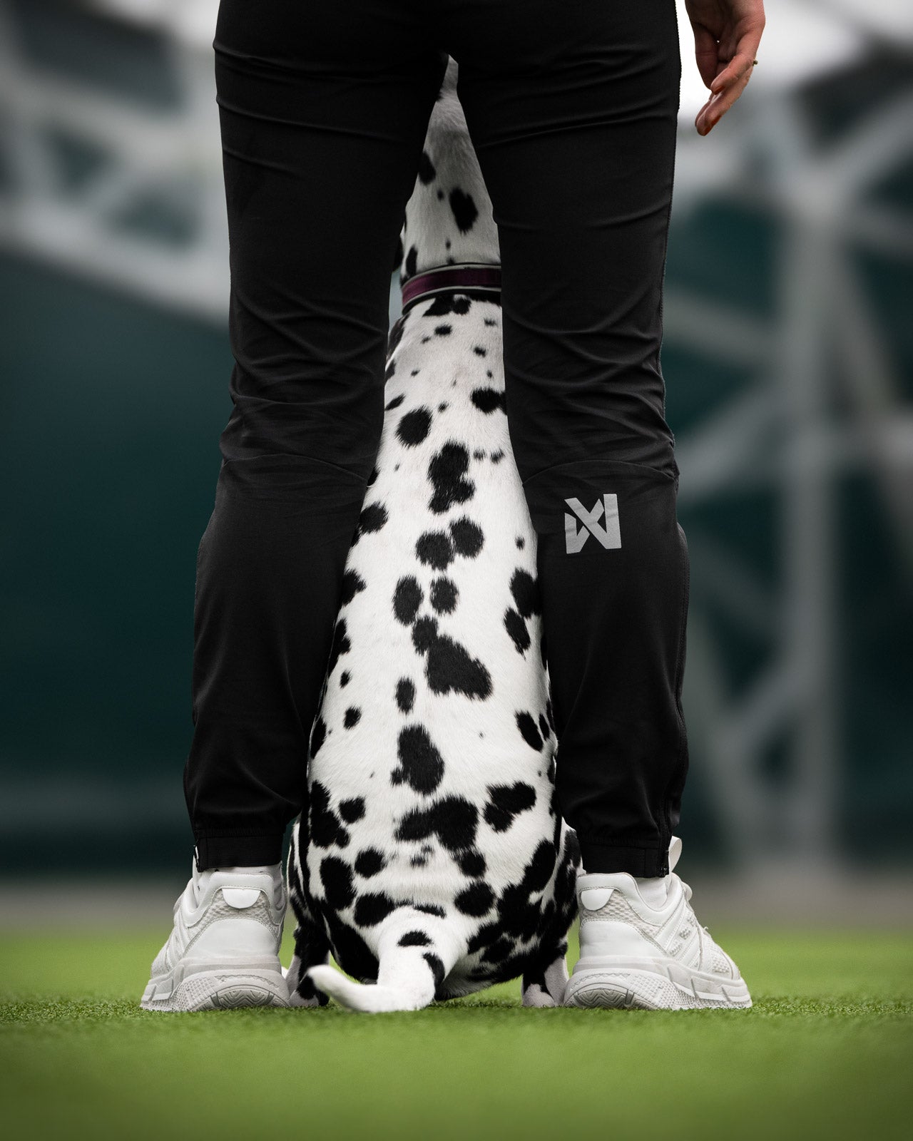 Canix warm-up pants women's