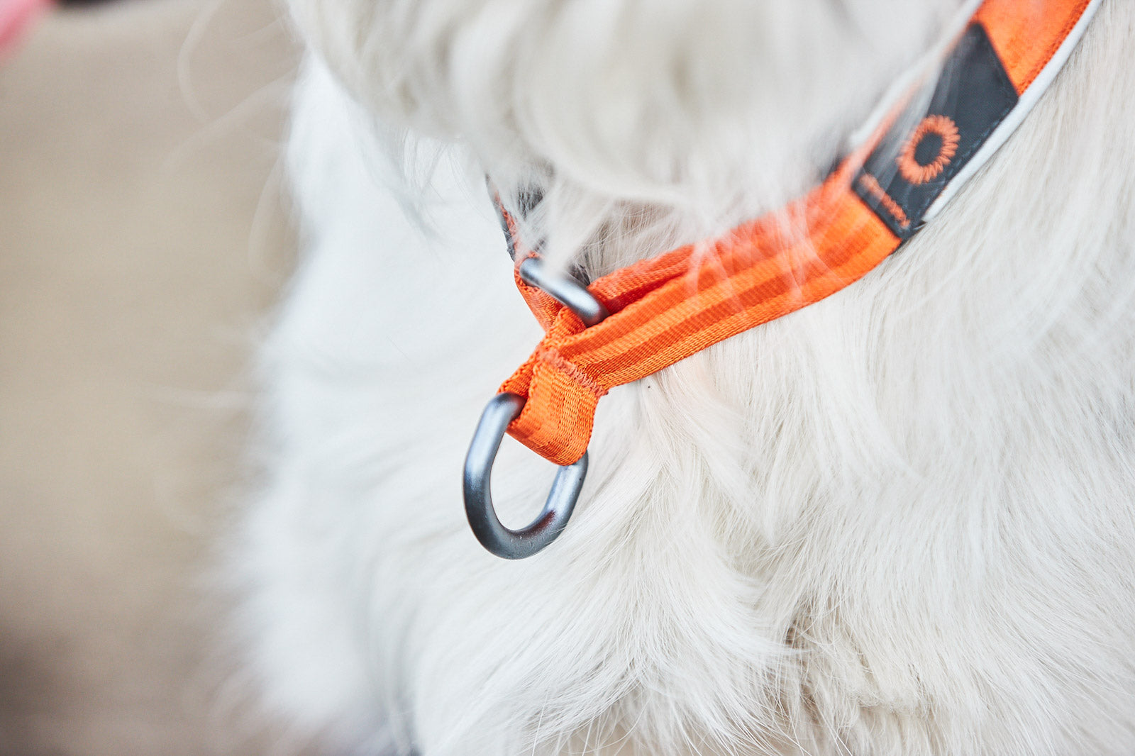 Cruise collar