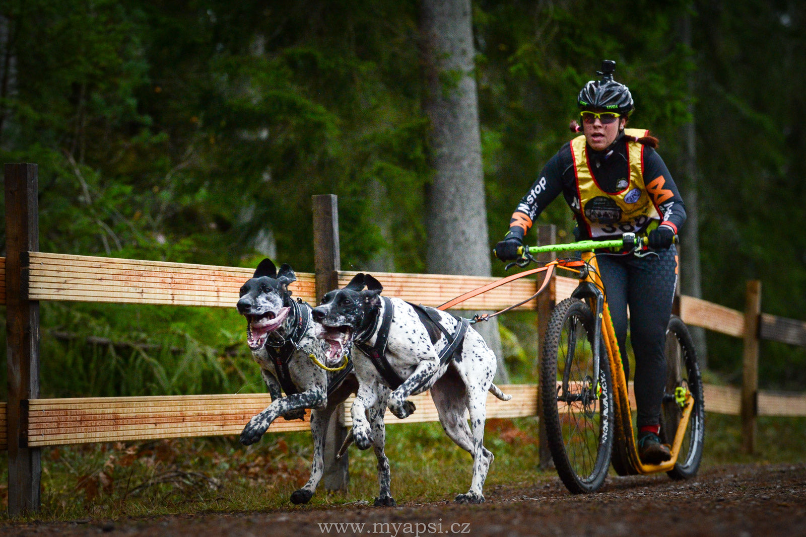 Veronika & Václav Navrátilová/ Vančura Picture