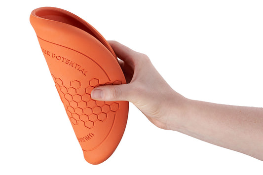 Dog flying disc (1)