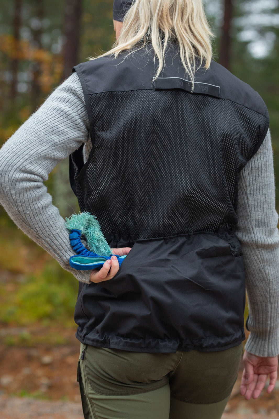 Dog training vest
