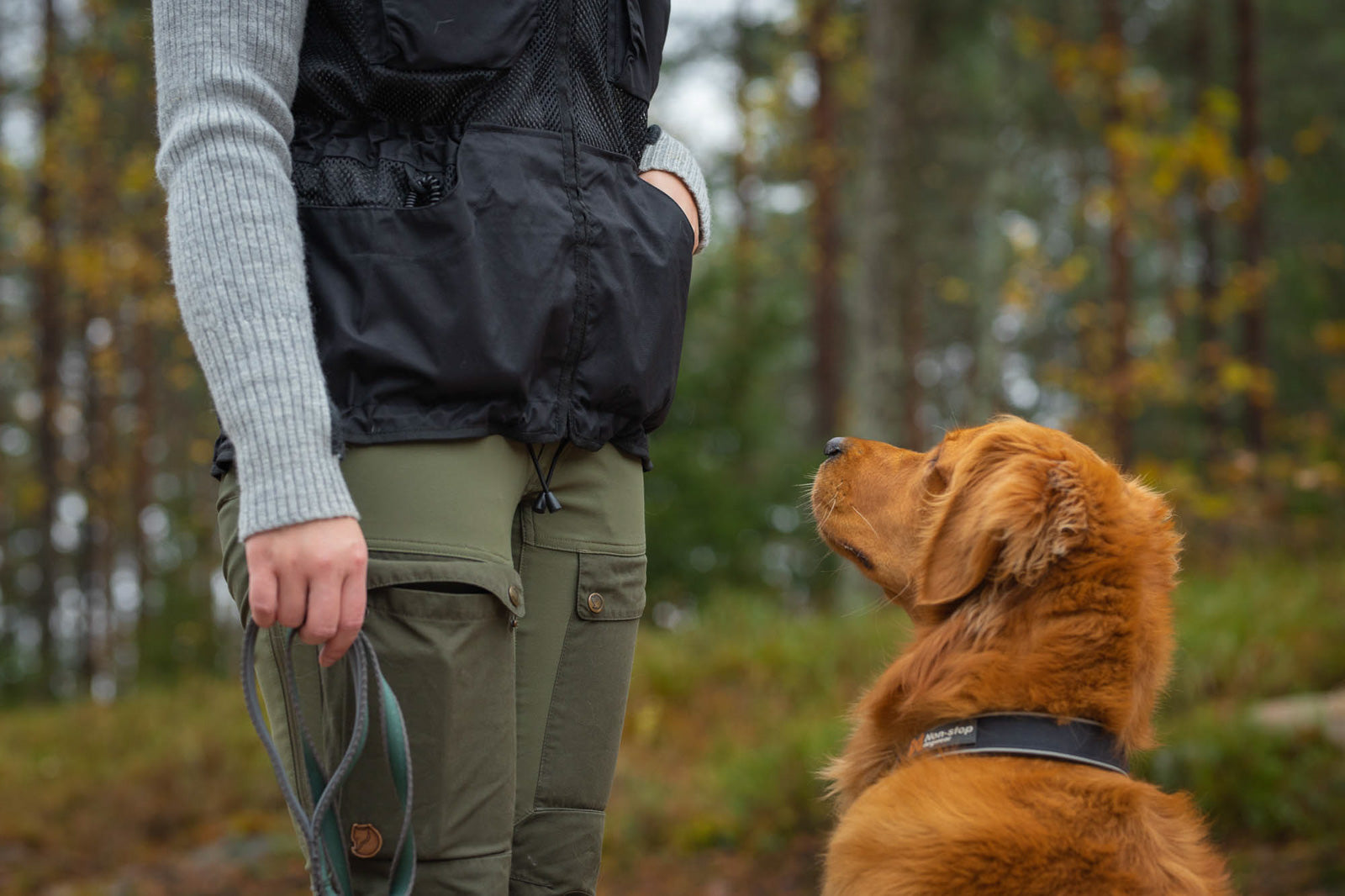 Dog training vest