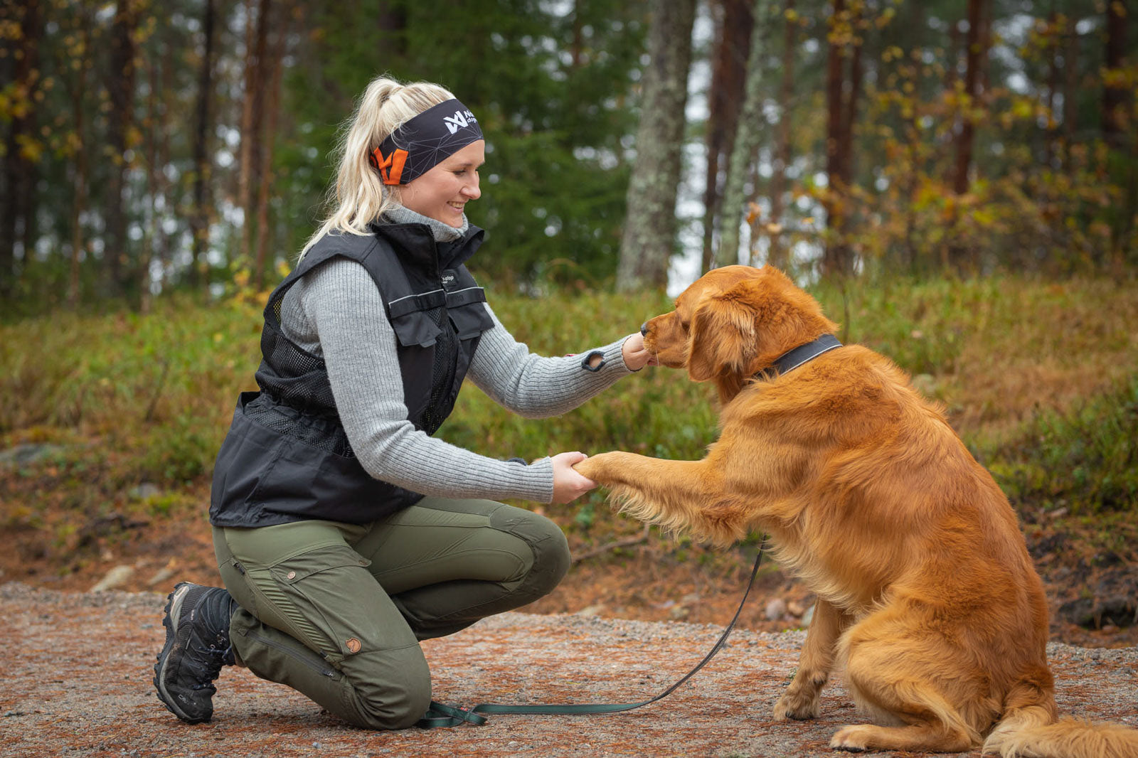 Dog training vest (2)