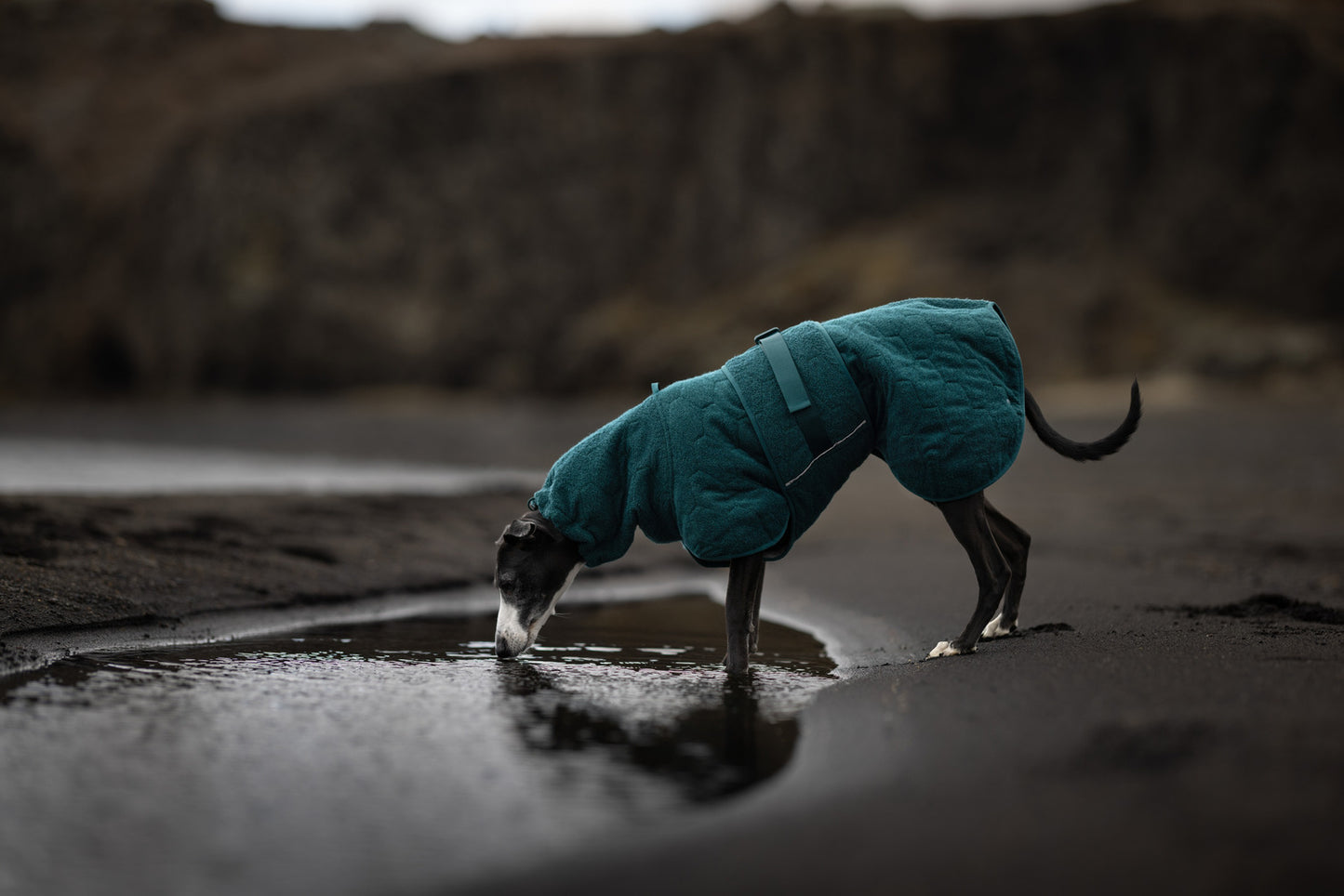 Drying coat (2)