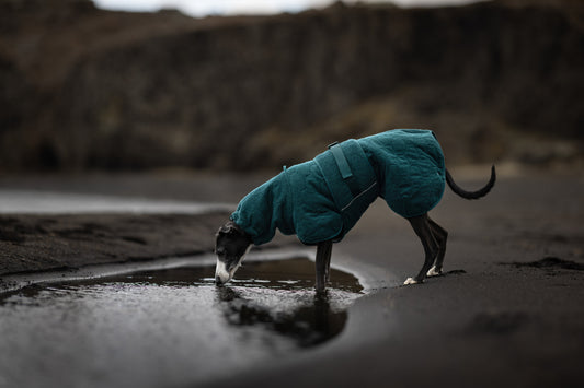 Drying coat (1)