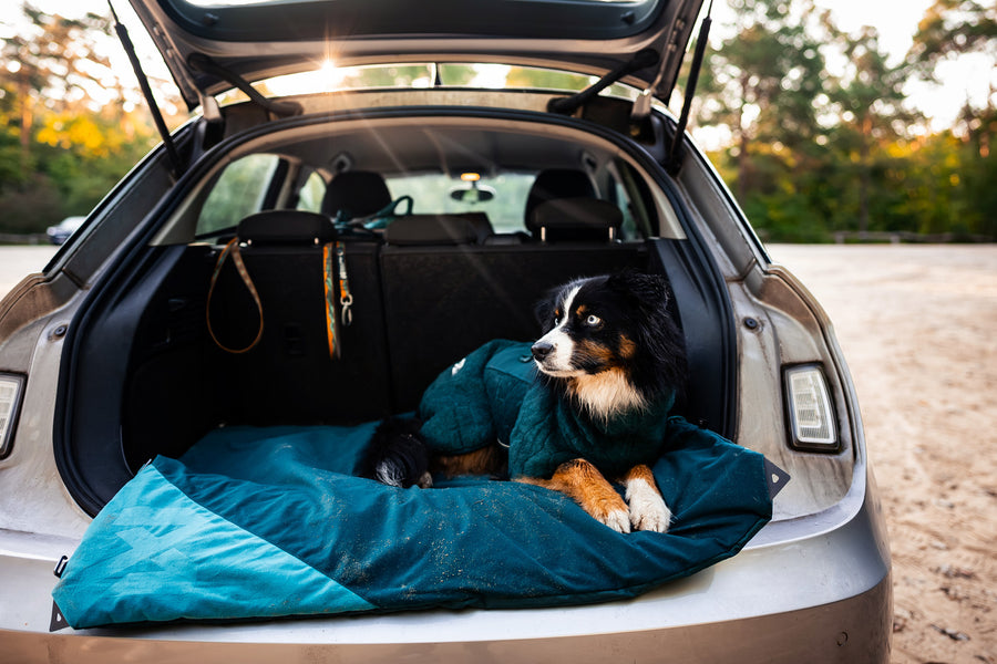 Trekking dog bed (6)