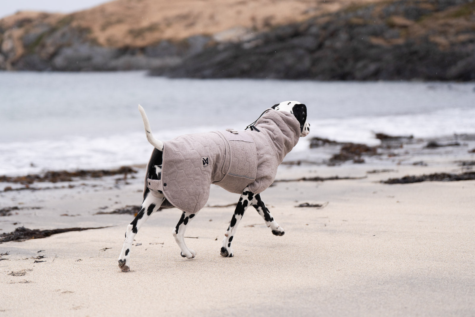 Drying coat
