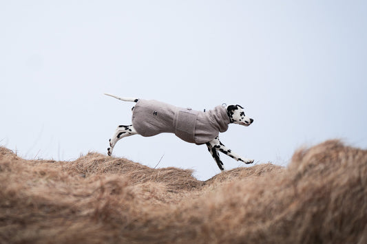 Drying coat (1)