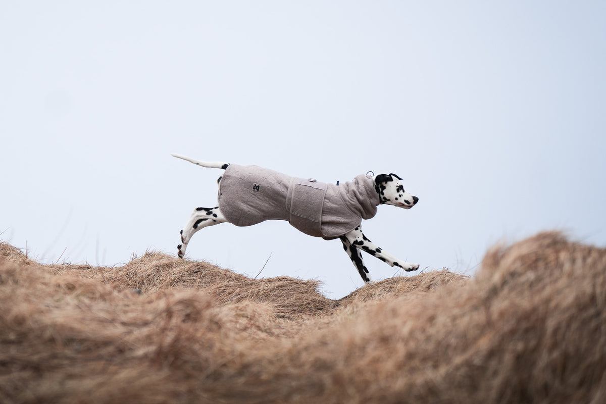 Drying coat (13)