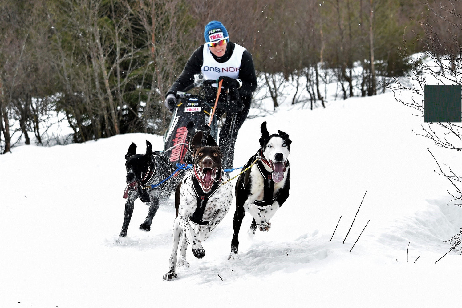 Lena Boysen Hillestad Picture
