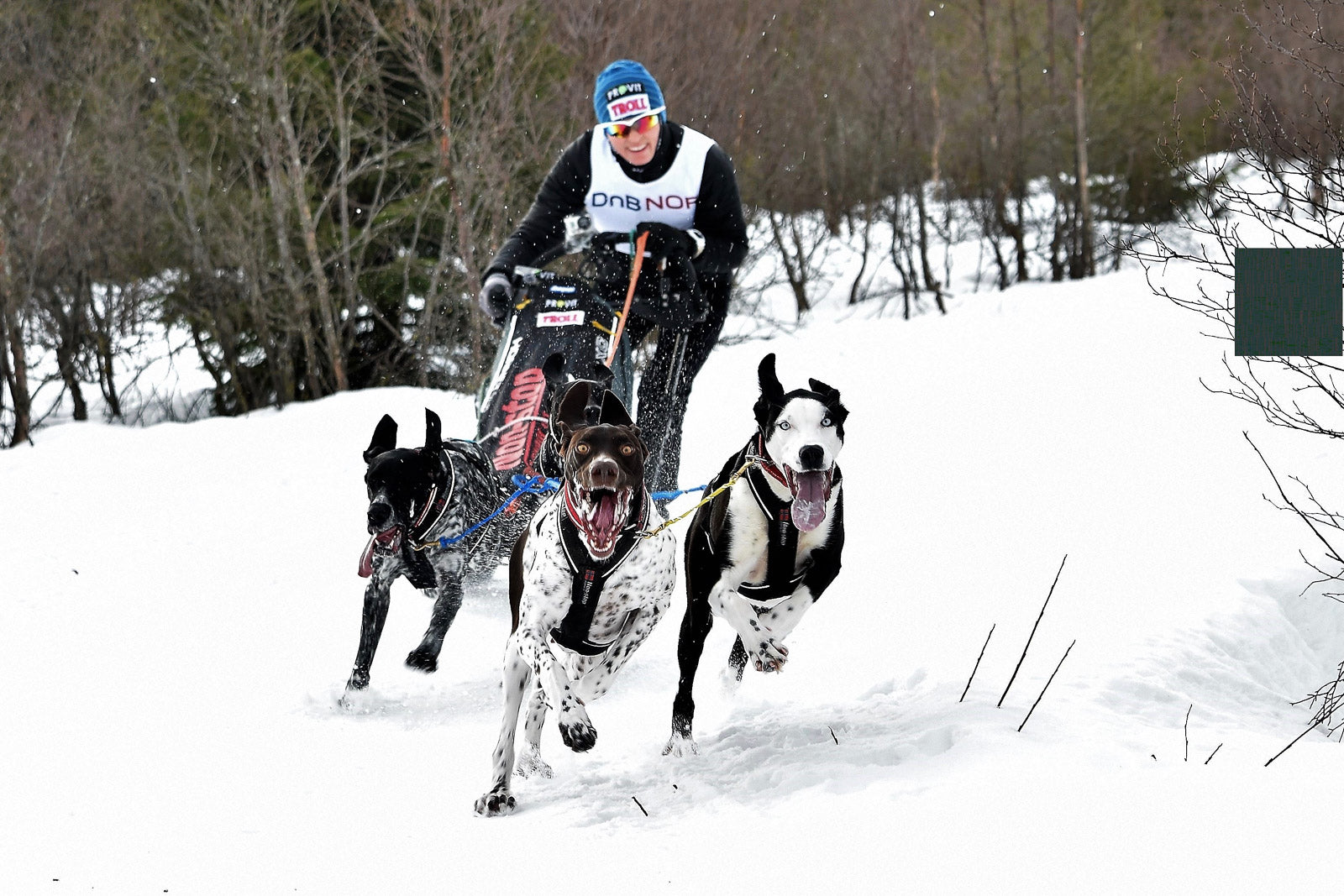 Lena Boysen Hillestad Picture