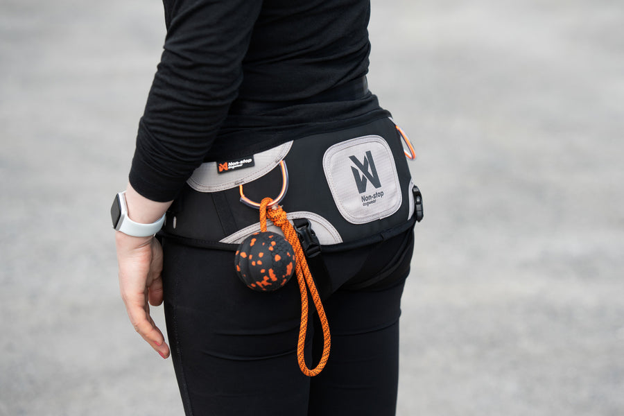 Explore belt (4)