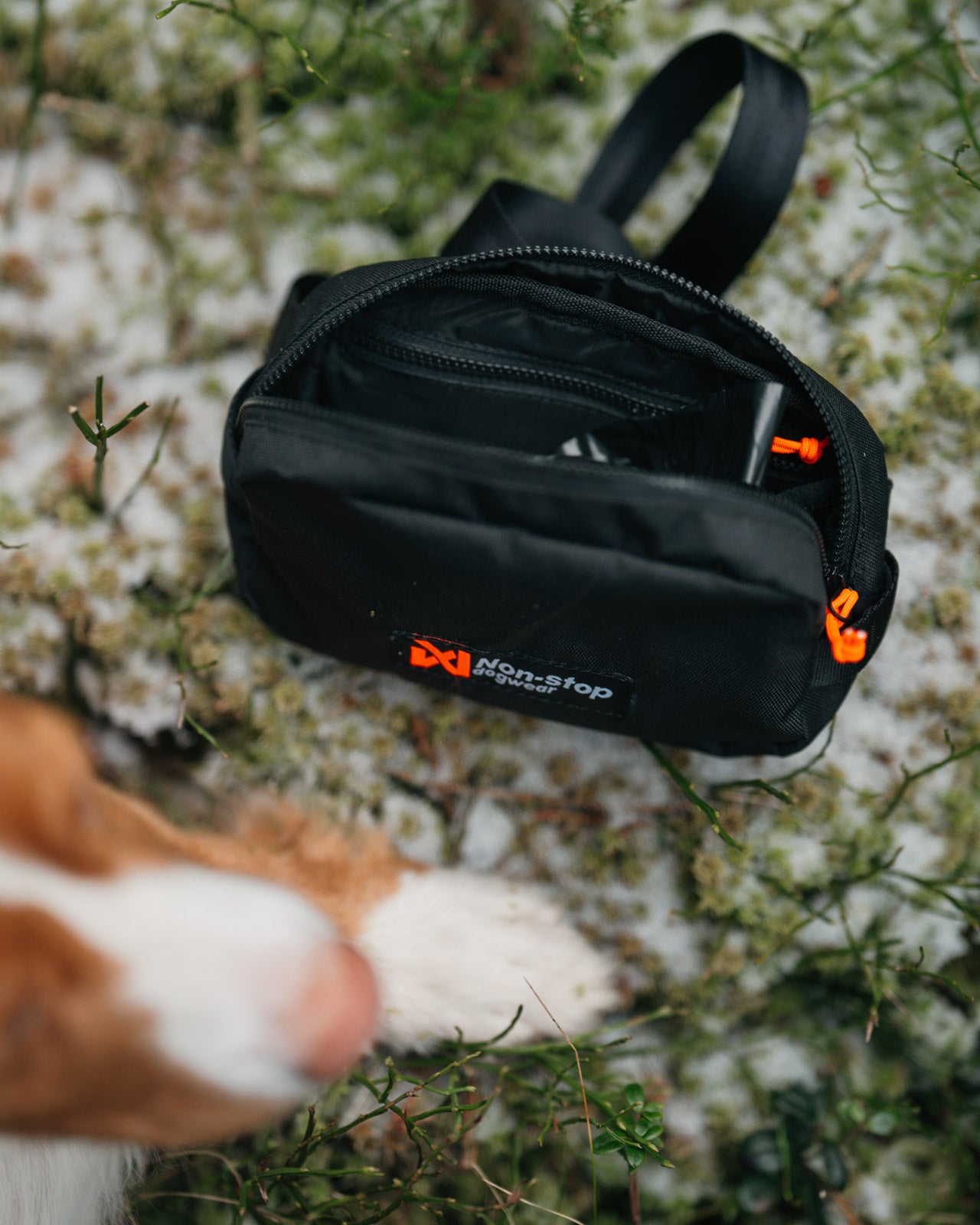 Trail quest fanny pack