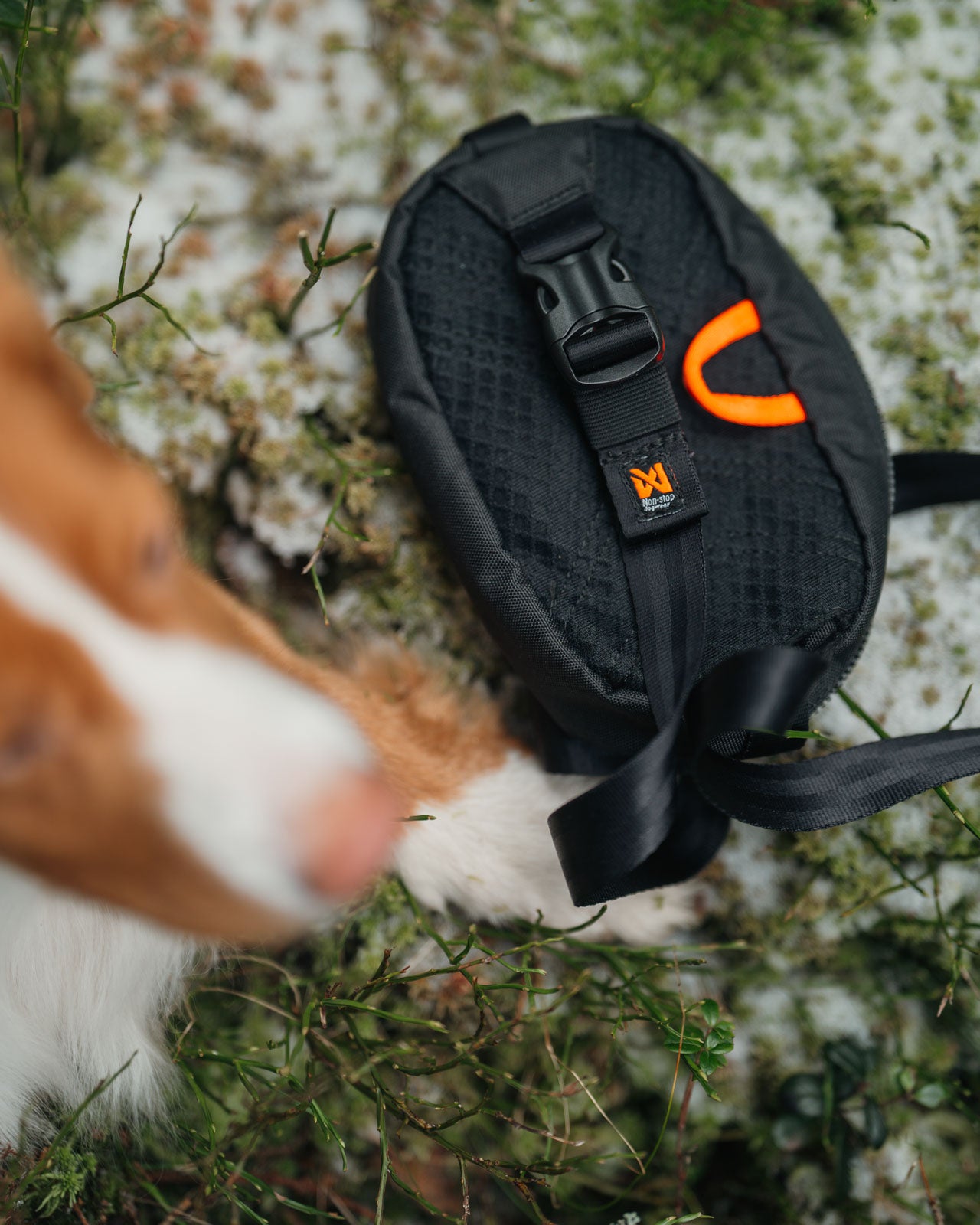 Trail quest fanny pack