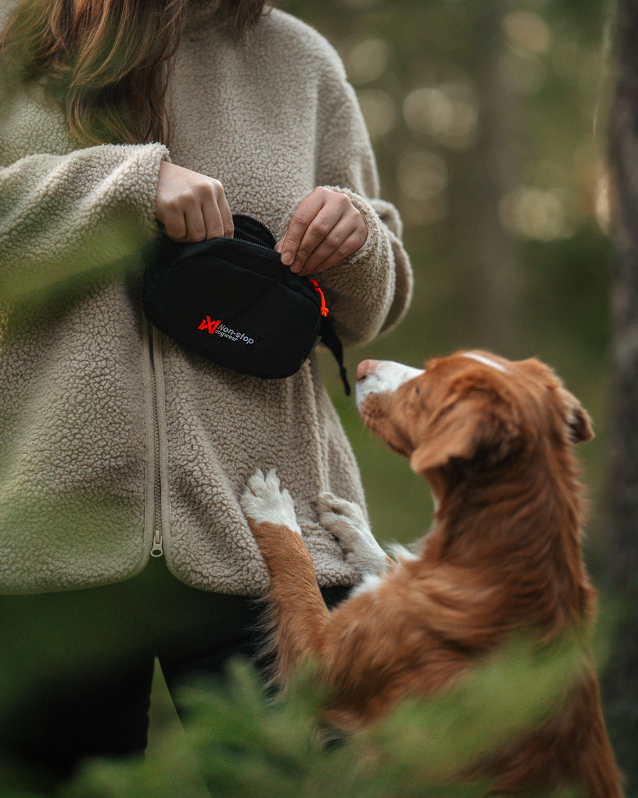 Trail quest fanny pack (1)