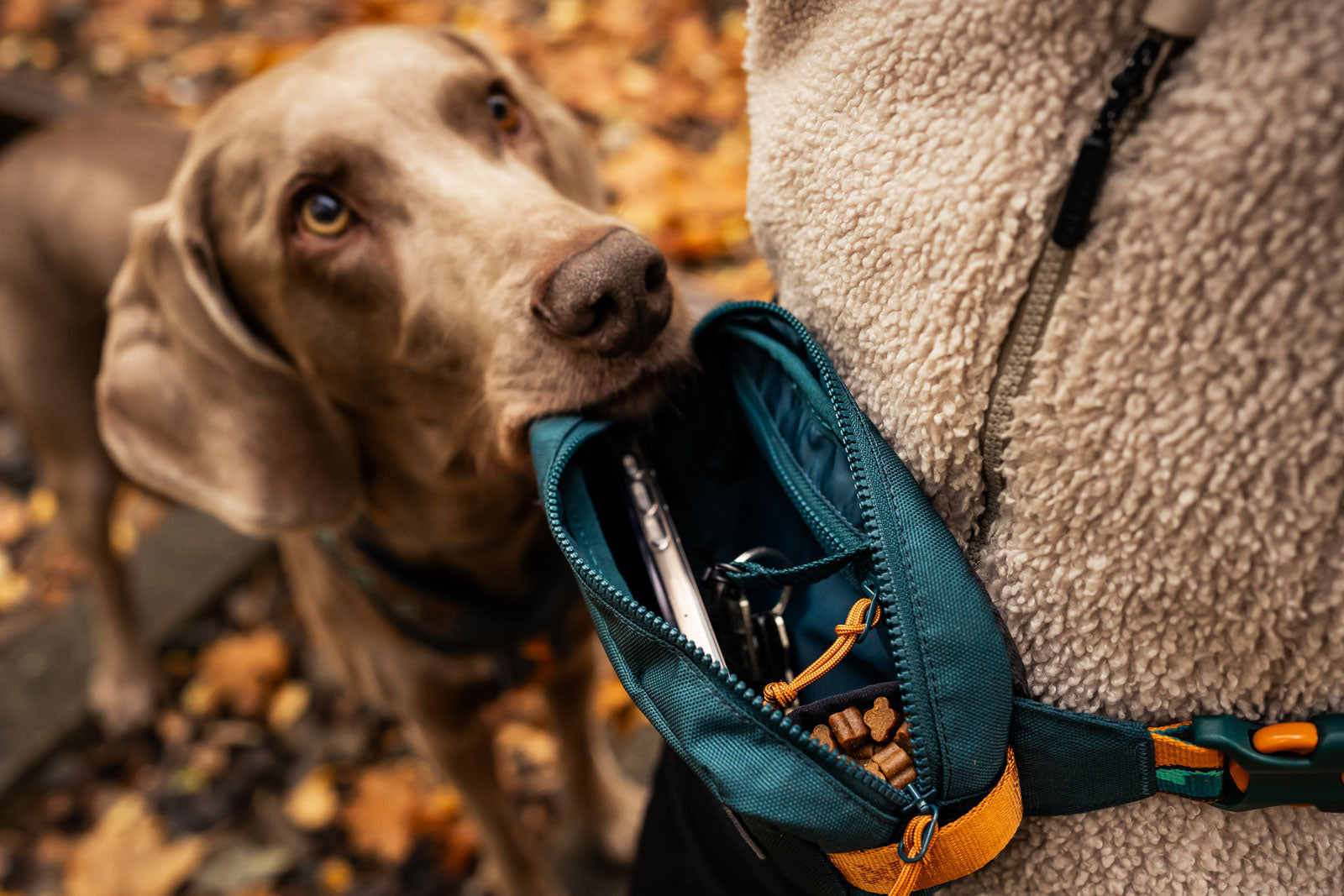 Belt bag | Trail quest fanny pack Rachel Pohl edition – Non-stop