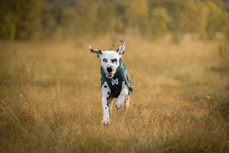 Fjord lined raincoat (8)