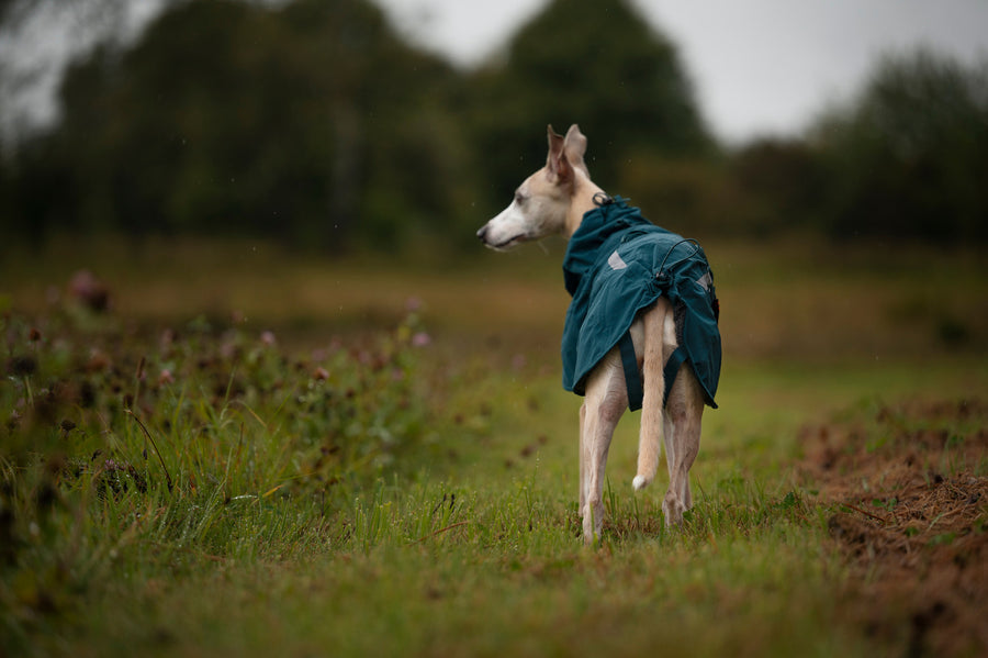 Fjord lined raincoat (5)