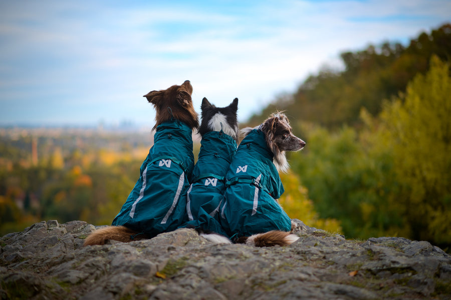 Fjord lined raincoat (2)