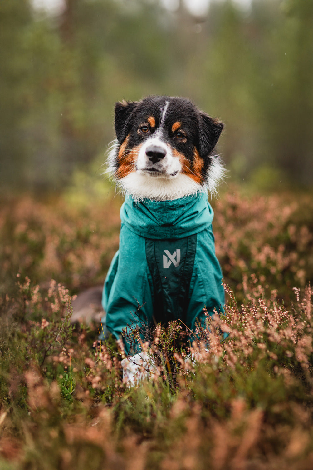 Fjord overall raincoat (4)