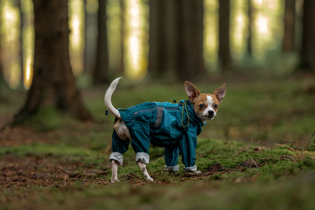 Fjord overall raincoat (5)
