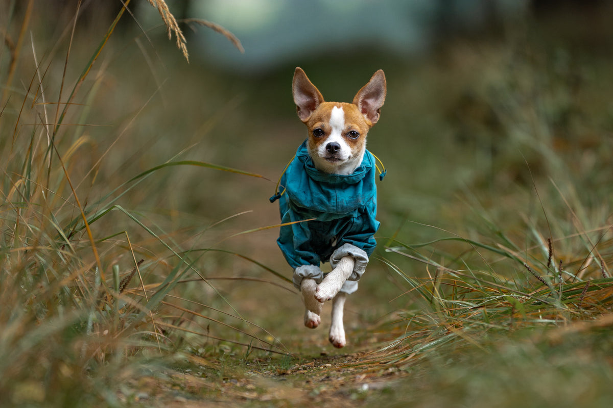 Fjord overall raincoat (8)