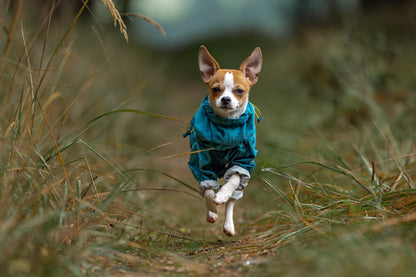 Fjord overall raincoat (8)