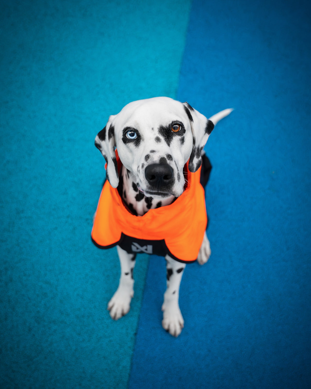 Fjord raincoat 2.0 (10)