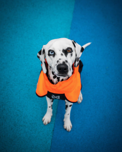 Fjord raincoat 2.0 (10)