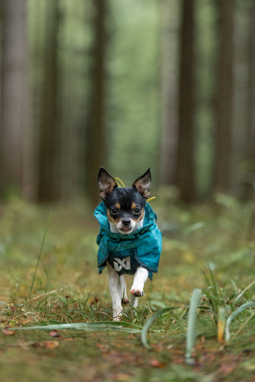 Fjord raincoat 2.0 (9)