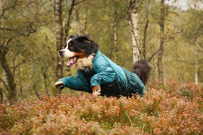 Fjord overall raincoat (3)