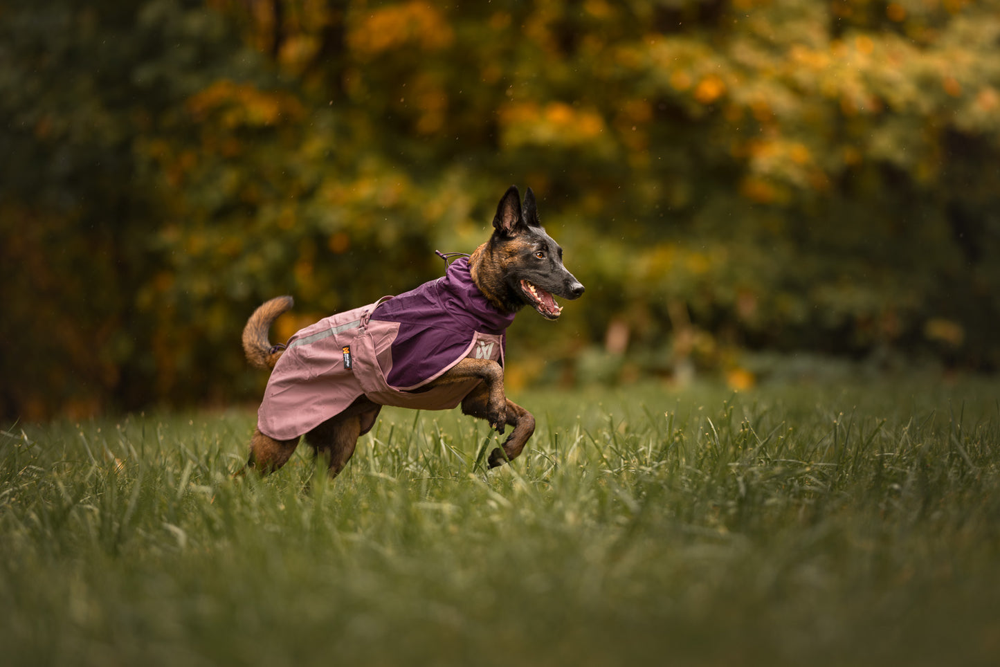 Fjord raincoat 2.0 (8)