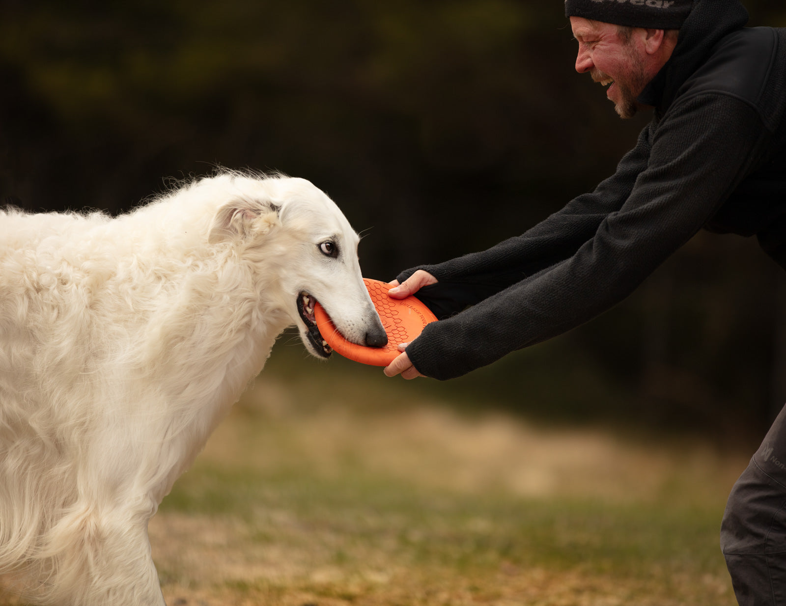 Dog flying disc