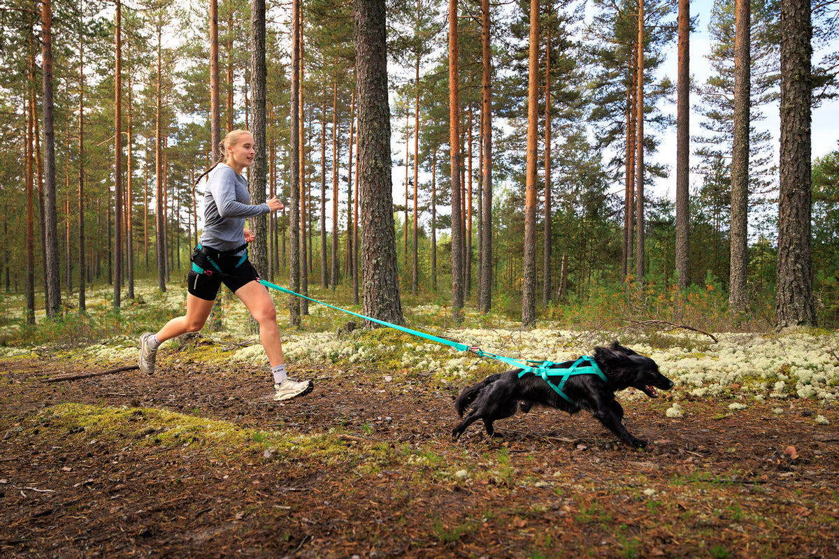 Freemotion harness 5.0 (25)
