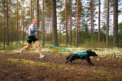 Freemotion harness 5.0 (25)