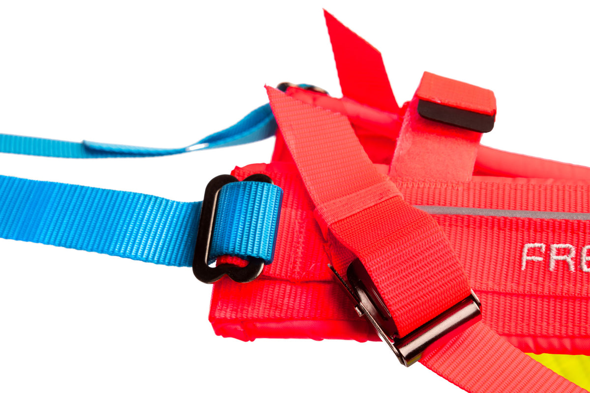 Freemotion harness 5.0 - limited edition