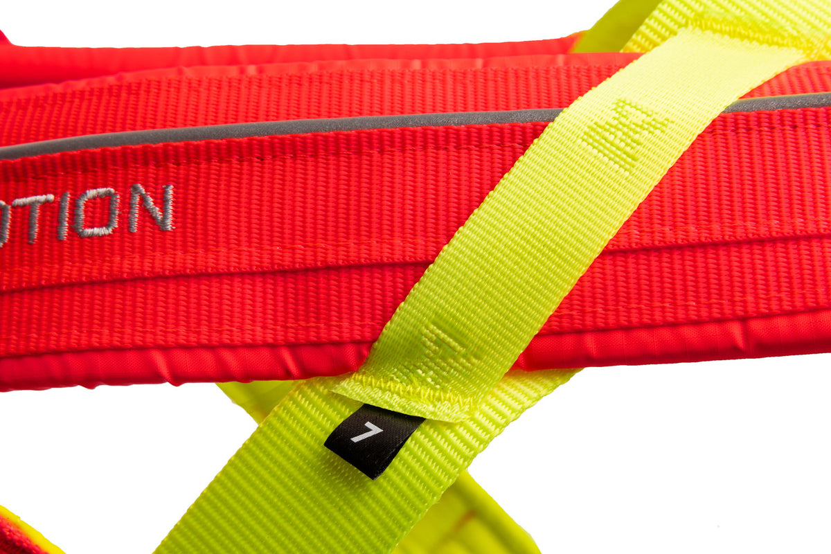 Freemotion harness 5.0 - limited edition