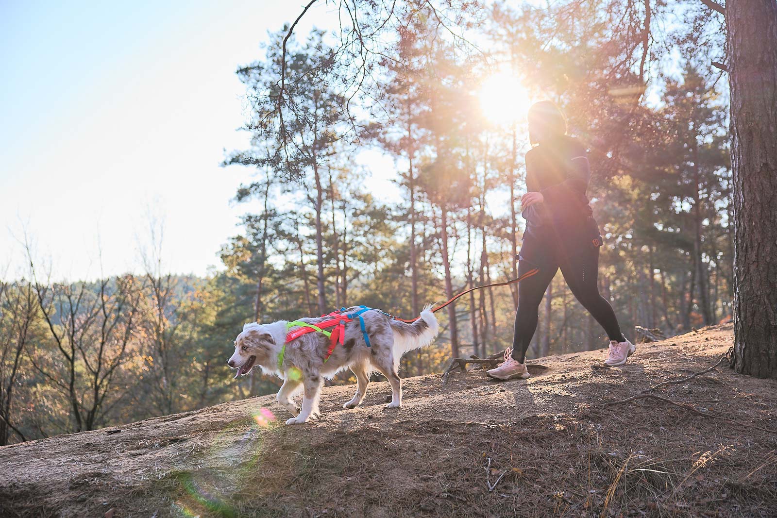 Freemotion harness 5.0 - limited edition (1)