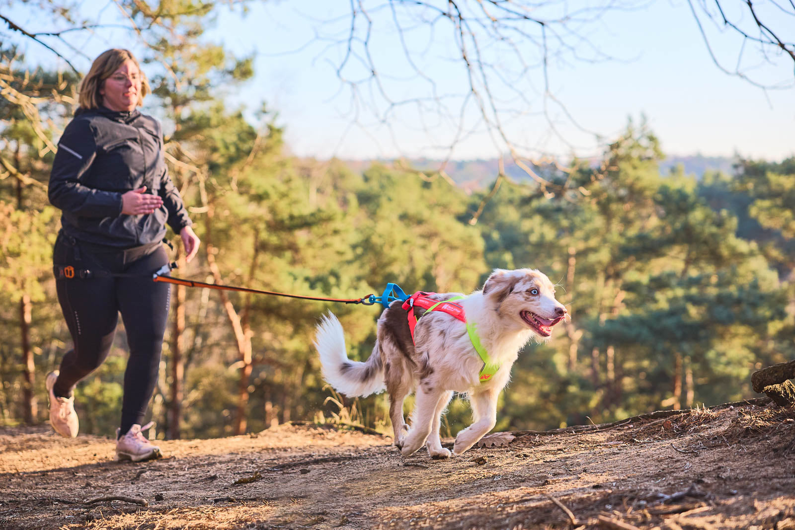 Limited edition dog harness | Freemotion harness 5.0 LTD – Non