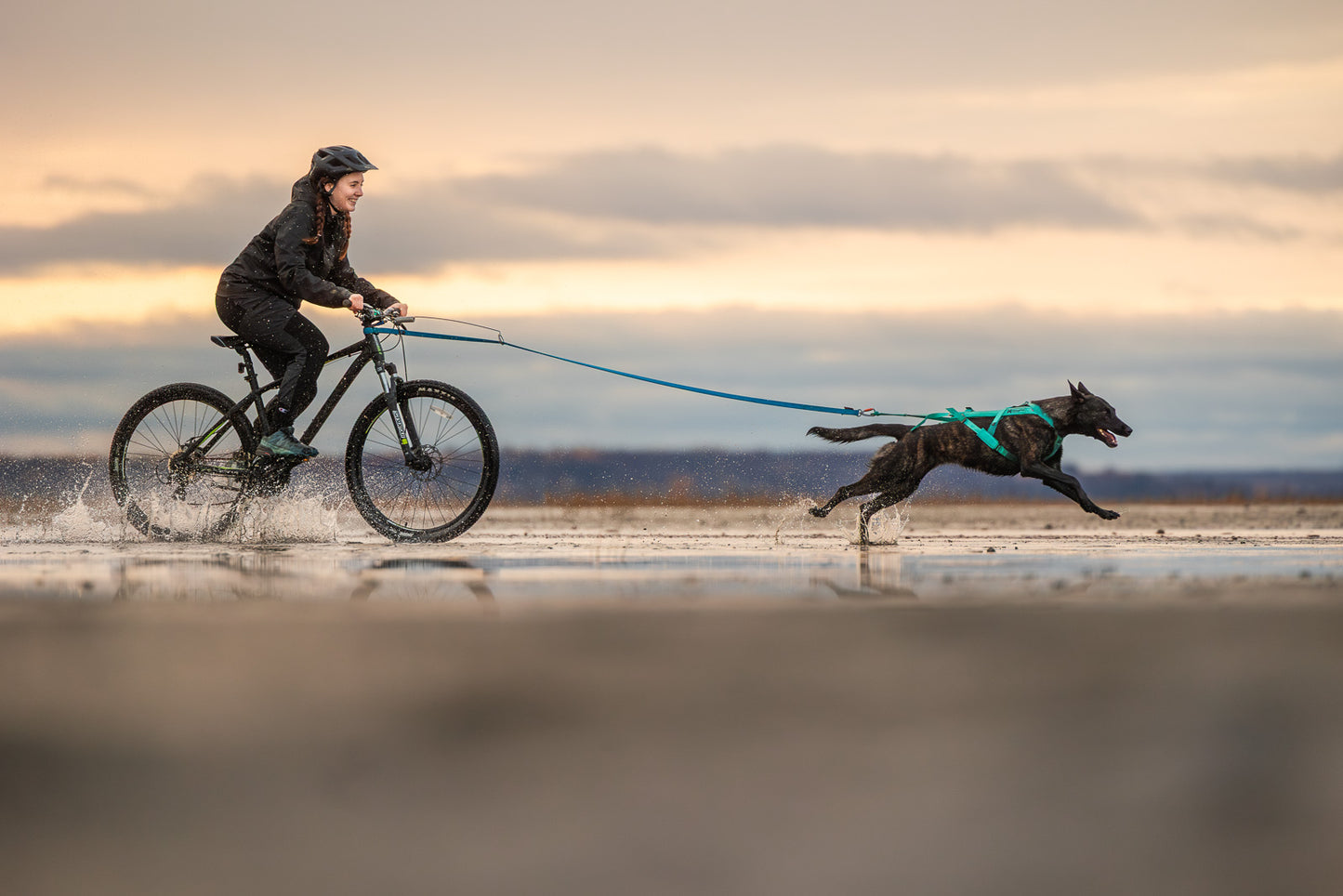 Freemotion harness 5.0 (6)