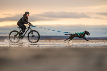 Freemotion harness 5.0 (6)