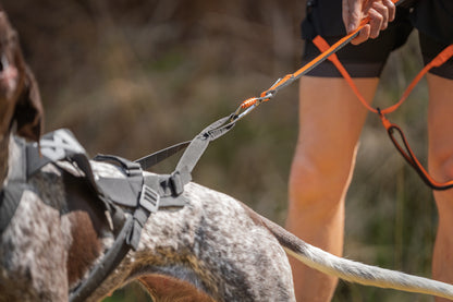 Freemotion harness pro (10)